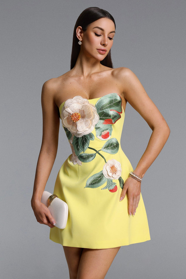 Tanith | Embroidered Strapless Dress